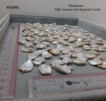 6386b keshi pearl 13-17mm x 16-22mm creamy white color undrilled.jpg